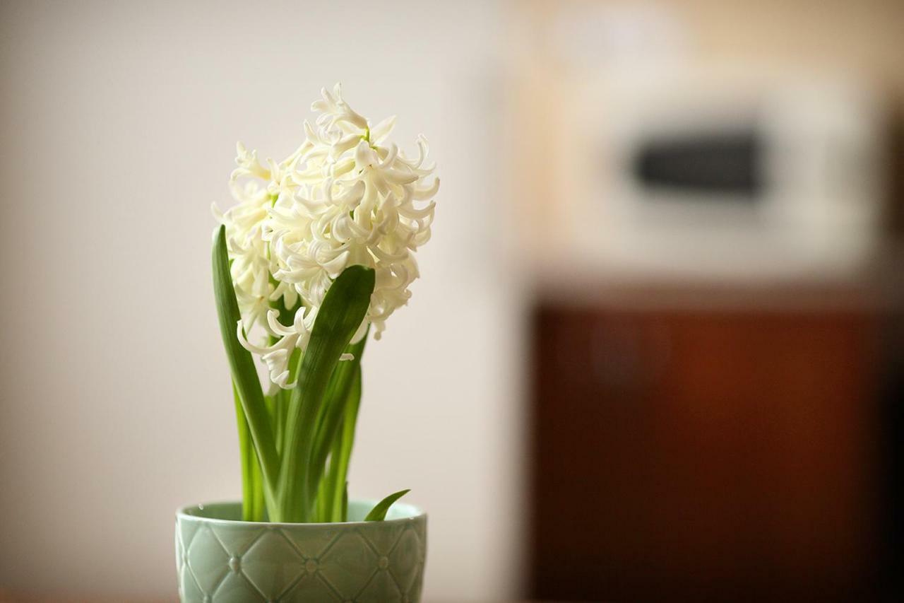 Ecomfort Apartment 케치케메트 외부 사진
